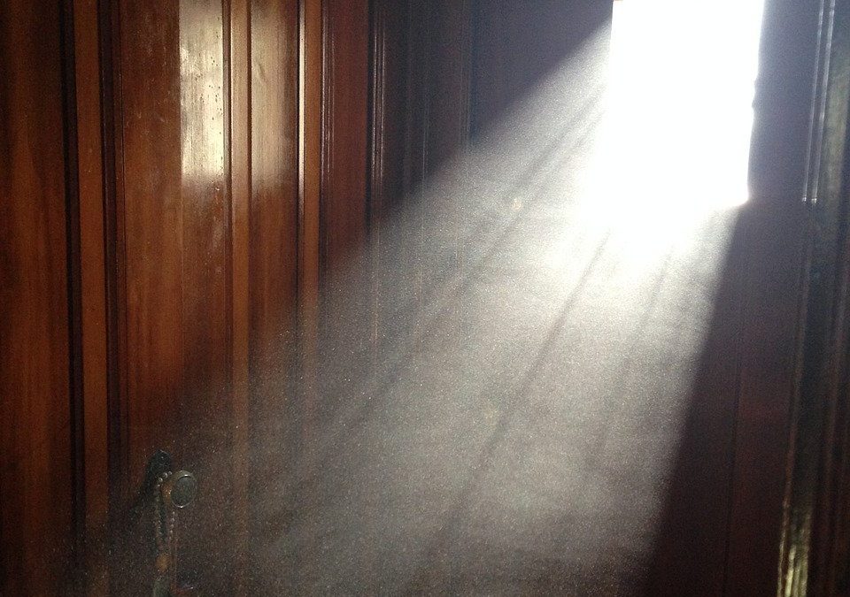 Zu viel Staub im Zimmer? 5 Profi-Tipps für 2026