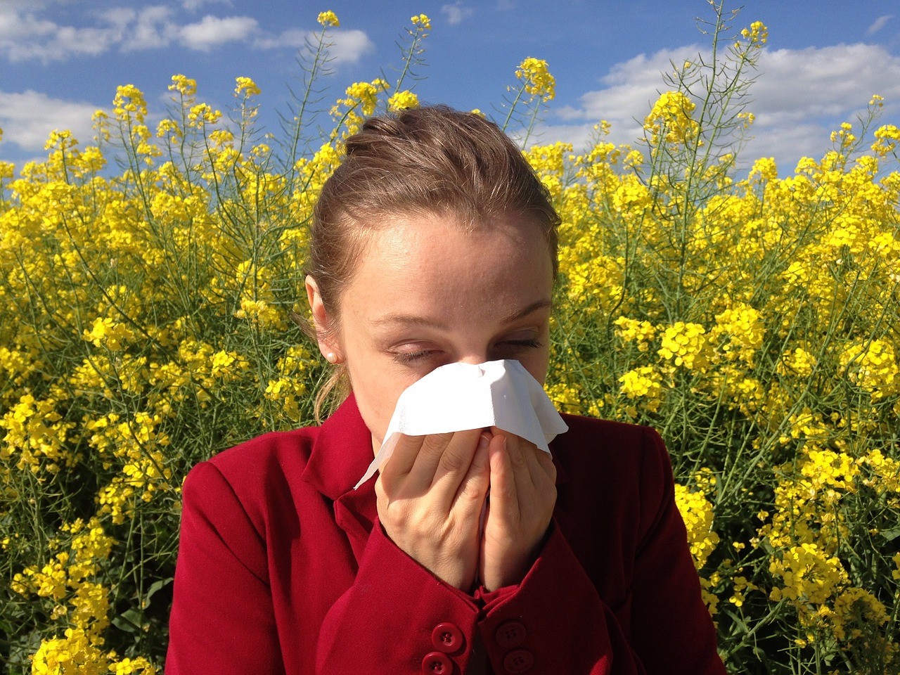 Was hilft gegen Pollenallergie
